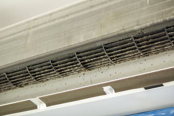 Best Air Quality Test  in Centerville, IN